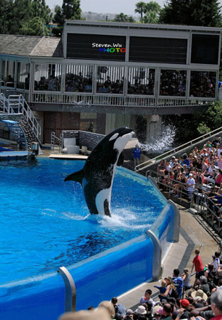 ʥ�؁��纣������