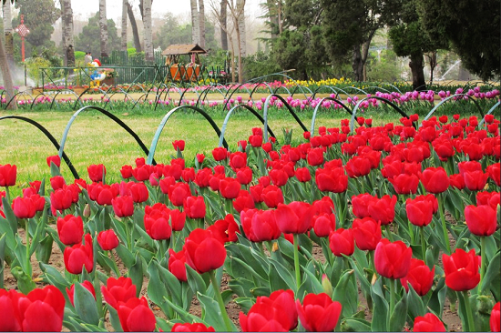 ���񹫈@������