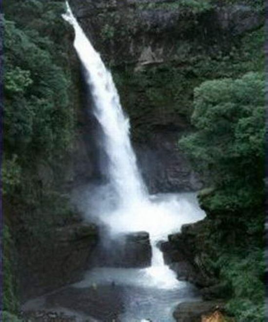 �����ٲ�