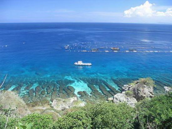 С�����L(f��ng)��