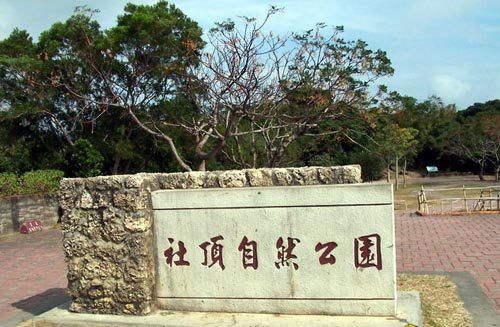 �����Ȼ���@