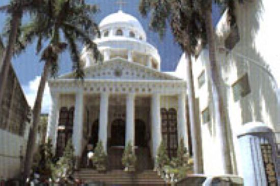 ���(qu��n)�Ž�