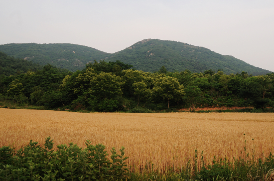 �v�R�꘷ɽ���B(t��i)�Ļ��@