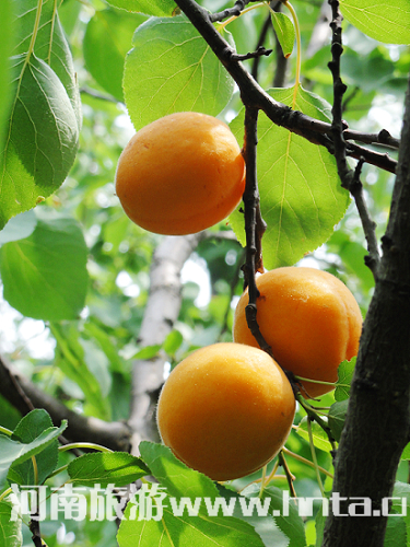 �h(hu��n)�����t��