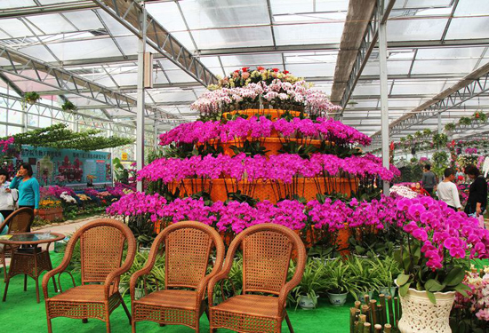 ����ʮ���p���ݜ�Ȫ �����ھC�ϰY�fbyebye