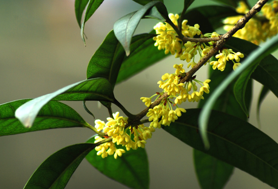 ����ʮ���p���ݜ�Ȫ �����ھC�ϰY�fbyebye