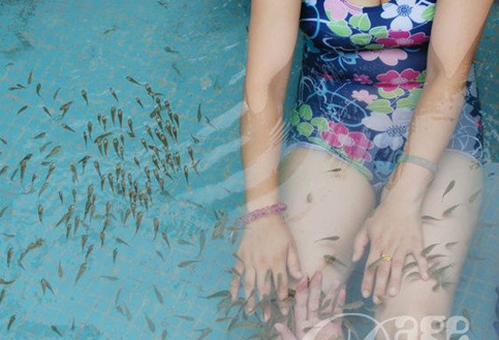 Ϧ����f�t �＾�B(y��ng)����