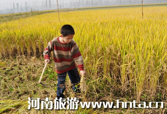 ԭ�ԭ���B(t��i)�r(n��ng)�fˮ���ո��w�(y��n)��