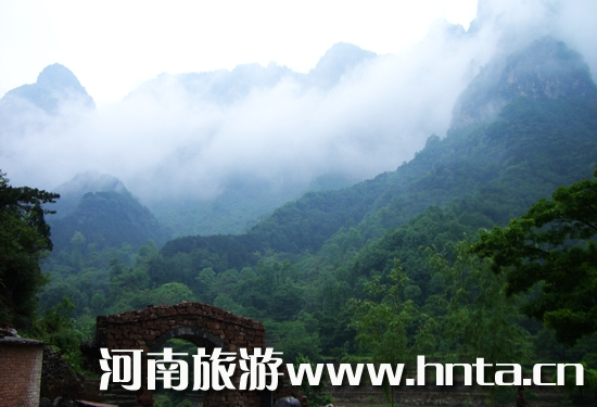 �Ǹ��p�ղ����� ��ꖳ��Θ����� 