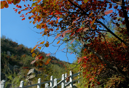 ���l(xi��ng)���R�X��ꖹ�(ji��)���M��