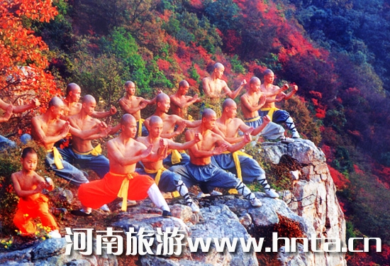 �����p�t�~ ����(n��i)ʮ���c