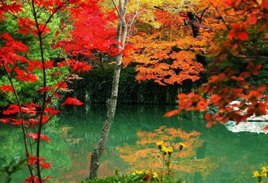 �����p�t�~ ����(n��i)ʮ���c