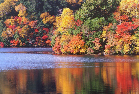 �����p�t�~ ����(n��i)ʮ���c(di��n)