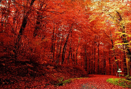 �����p�t�~ ����(n��i)ʮ���c(di��n)