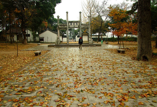 �����p�t�~ ����(n��i)ʮ���c(di��n)