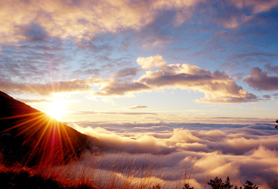 �����p�t�~ ��(gu��)��(n��i)ʮ���c(di��n)