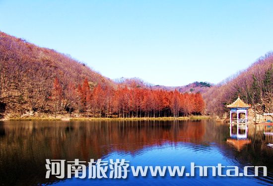 �����p�t�~ ʡ��(n��i)���^(q��)�ػ���