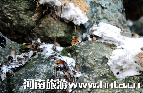 ƽ�ɽ��ɽ���ݷ�����ѩ���ݜ�һ����