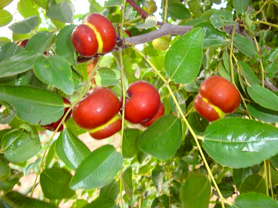 ��(d��ng)�������ˣ�����ף�