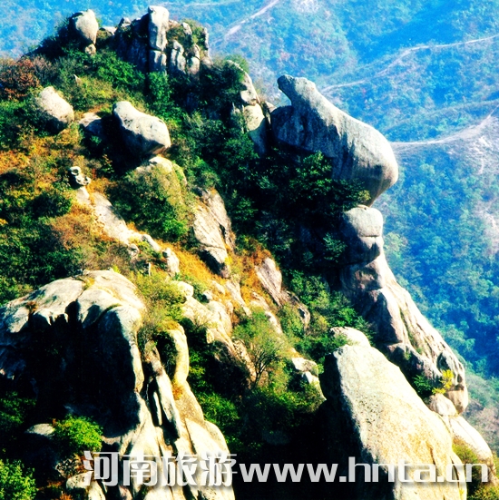 �������Fȥ���� �I(l��ng)����ԭС��֮��