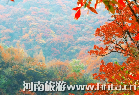 �������Fȥ���� �I����ԭС��֮��