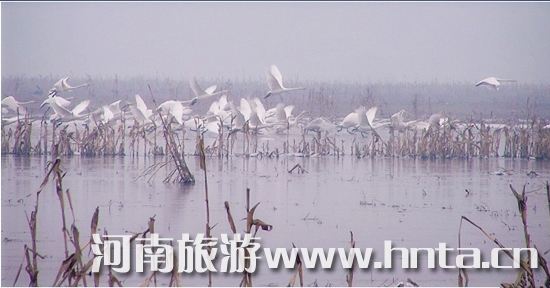 �������Fȥ���� �I����ԭС��֮��