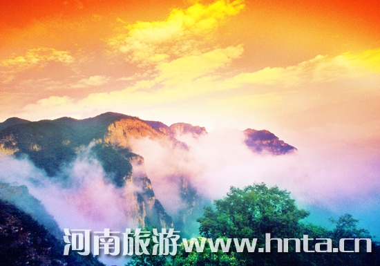 �������_ɽ�TƱ�H��20Ԫ