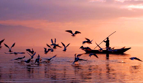 �e؈�����@��(g��)�����҂��淭���� 