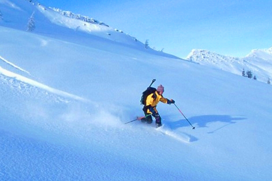 �����½�������ѩ���﯂һ��