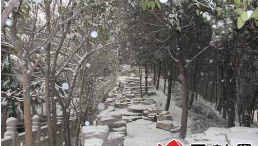 開封:互聯(lián)網(wǎng): 文化旅游產(chǎn)業(yè)的宣傳新平臺