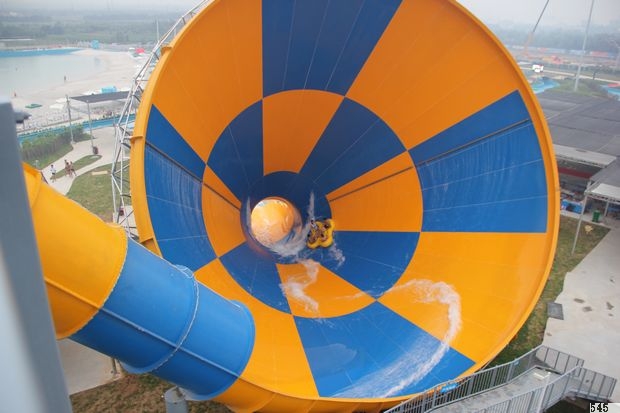 �W�����������L