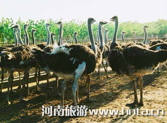 �����r�B�@