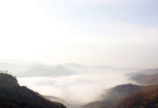 �S�ӵ��{�ƺ�