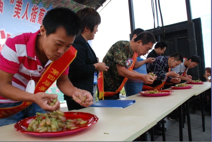 第四屆美人指葡萄節(jié)隆重開幕