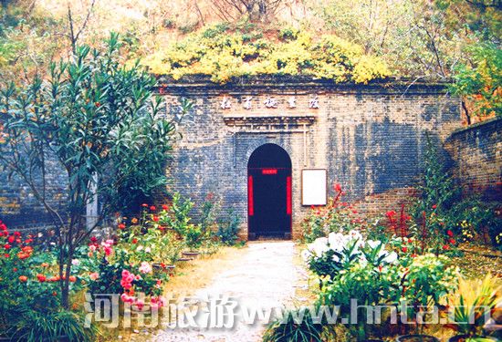 �S���ܶŸ����ｵ�r