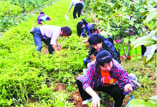 �����r�B�@&ldquo;͵��&rdquo;������