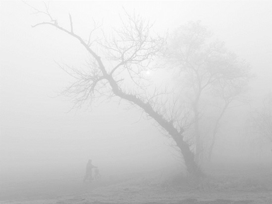 �F���B�B ֔(j��n)������