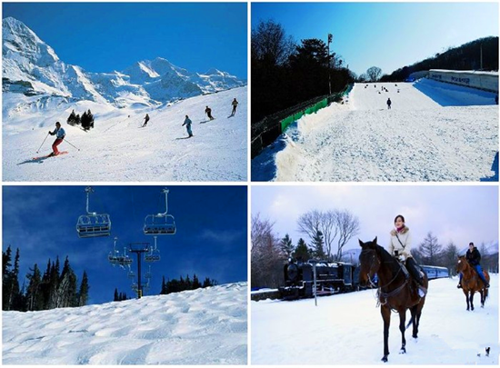 ����(ji��)�n��(gu��)�� �����ѩ֮��