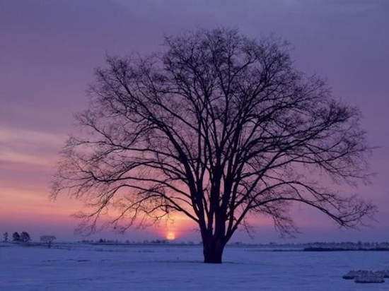 ����(ji��)�ձ��� �ݜ���ѩ�Ի��