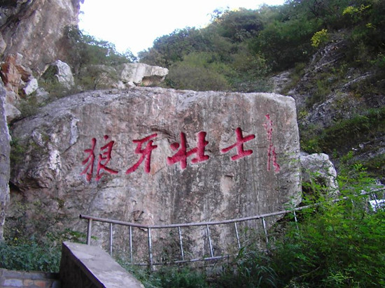 ���ӵ����E ���F�ϵ�����