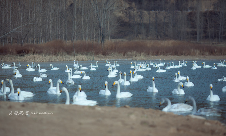 ���T�{�����Z����(d��ng)�������Ο�