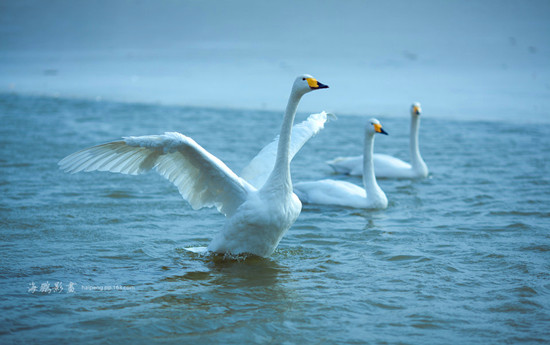 ��ѩ���Z�� ��(y��u)�ݰ�����