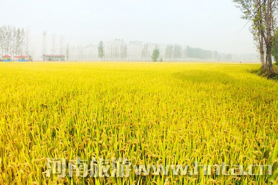 �����l(xi��ng)�خa(ch��n)��ԭꖴ���