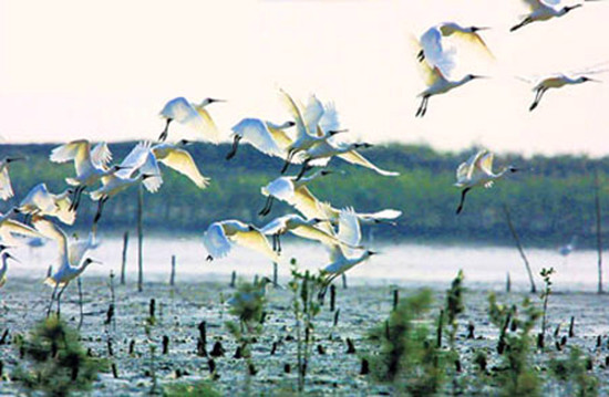 �����^�B����(d��ng)�r(sh��)����׽���� �Ĕz��(y��u)��