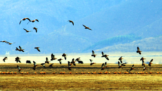 �����^�B����(d��ng)�r(sh��)����׽���� �Ĕz��(y��u)��