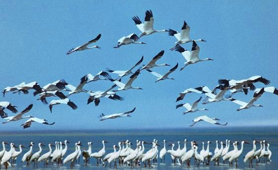 �����^�B����(d��ng)�r(sh��)����׽���� �Ĕz��(y��u)��