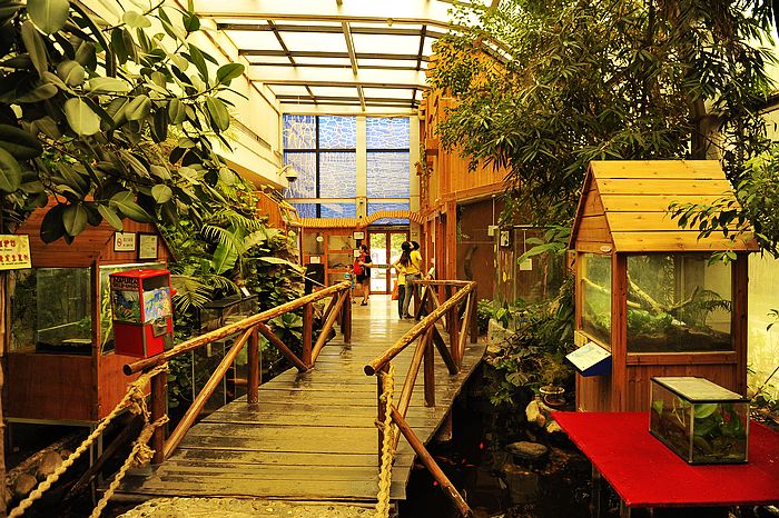 10�µ��＾ �w򞲻һ�ӵć���(n��i)�����ó�