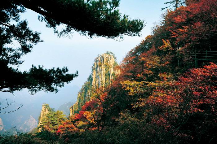 &ldquo;�t&rdquo;ɫ��(d��ng)�҄e��&ldquo;��&rdquo;�� �����^�t�~���^(q��)���]