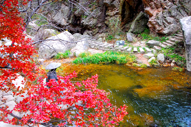 &ldquo;�t&rdquo;ɫ���҄e��&ldquo;��&rdquo;�� �����^�t�~���^(q��)���]