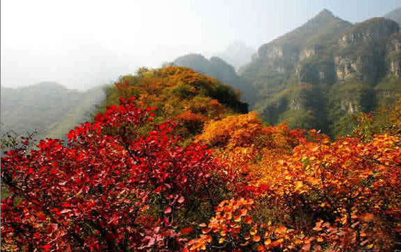 �Ĵ���կ��